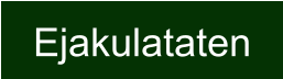 Ejakulataten