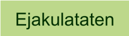 Ejakulataten